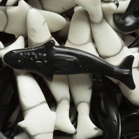 Orcas Brilho